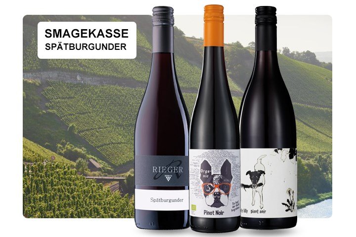 Spatburgunder - Smagekasse